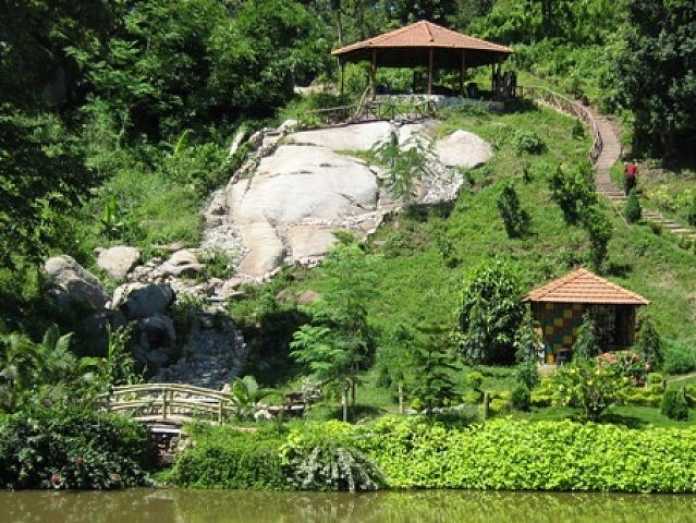 Brahmaputra Jungle Resort