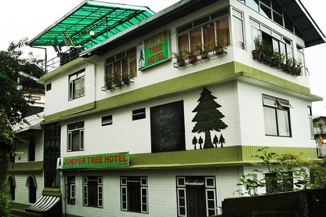 Juniper Tree Hotel