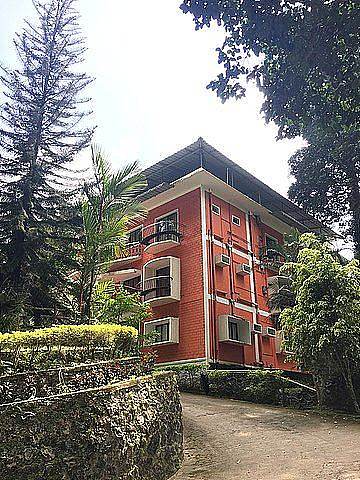 Forest Haven Resort